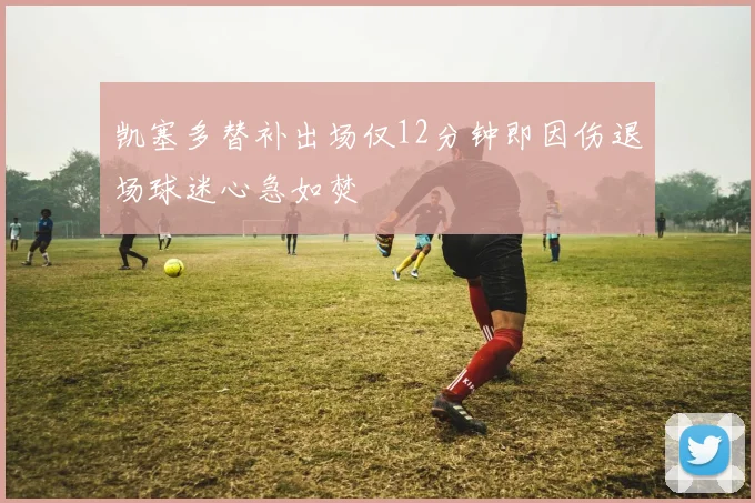 凯塞多替补出场仅12分钟即因伤退场球迷心急如焚